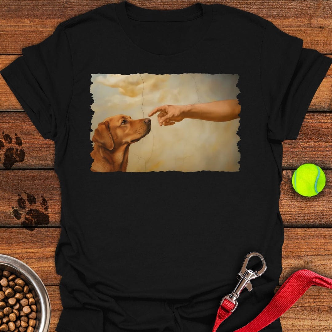 God Creates Fox Red Labrador Black