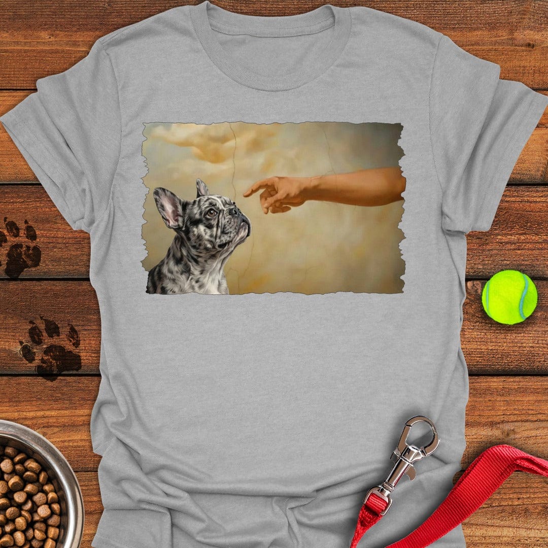 God Creates Merle Frenchie Sport Grey