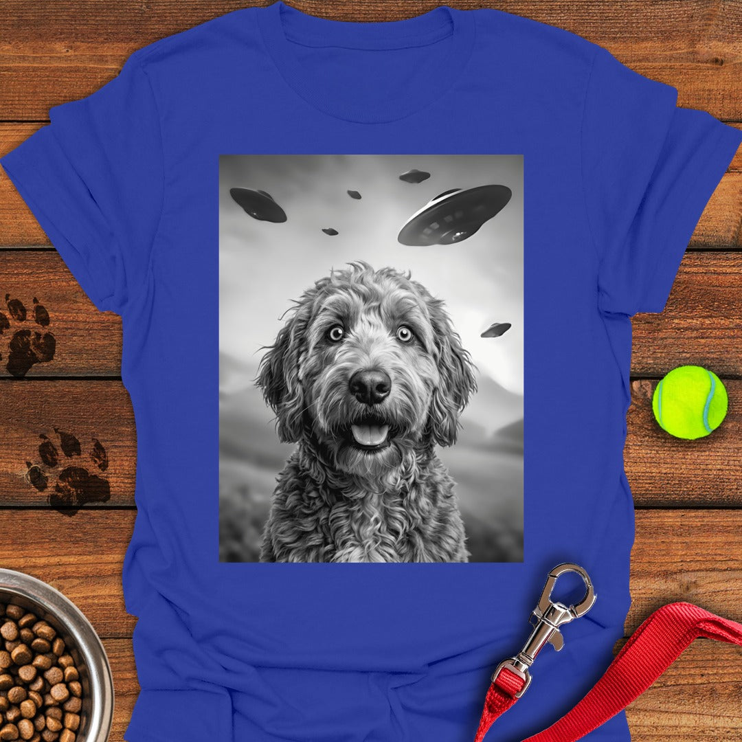 Golden Doodle UFO Royal