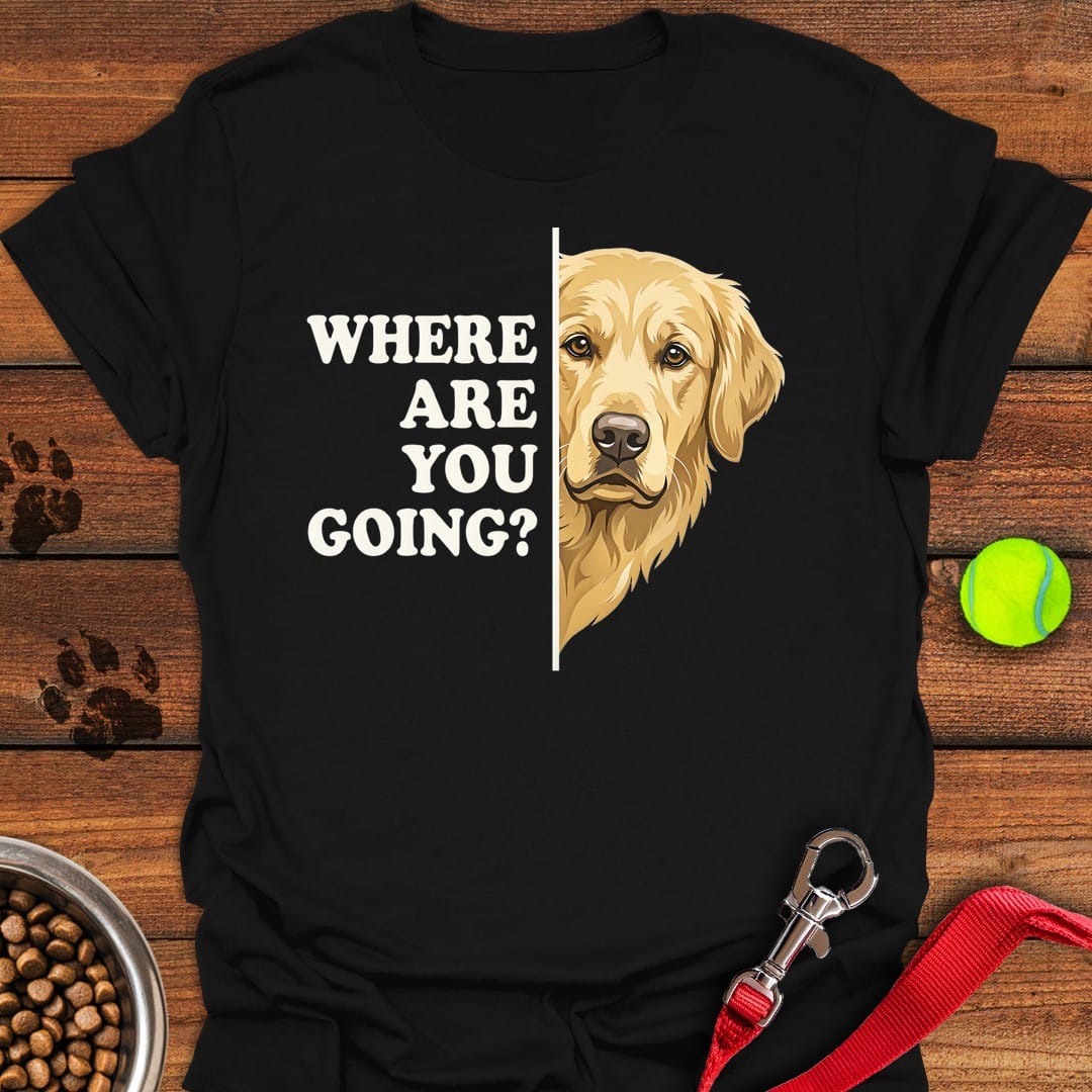Golden Retriever Following Black