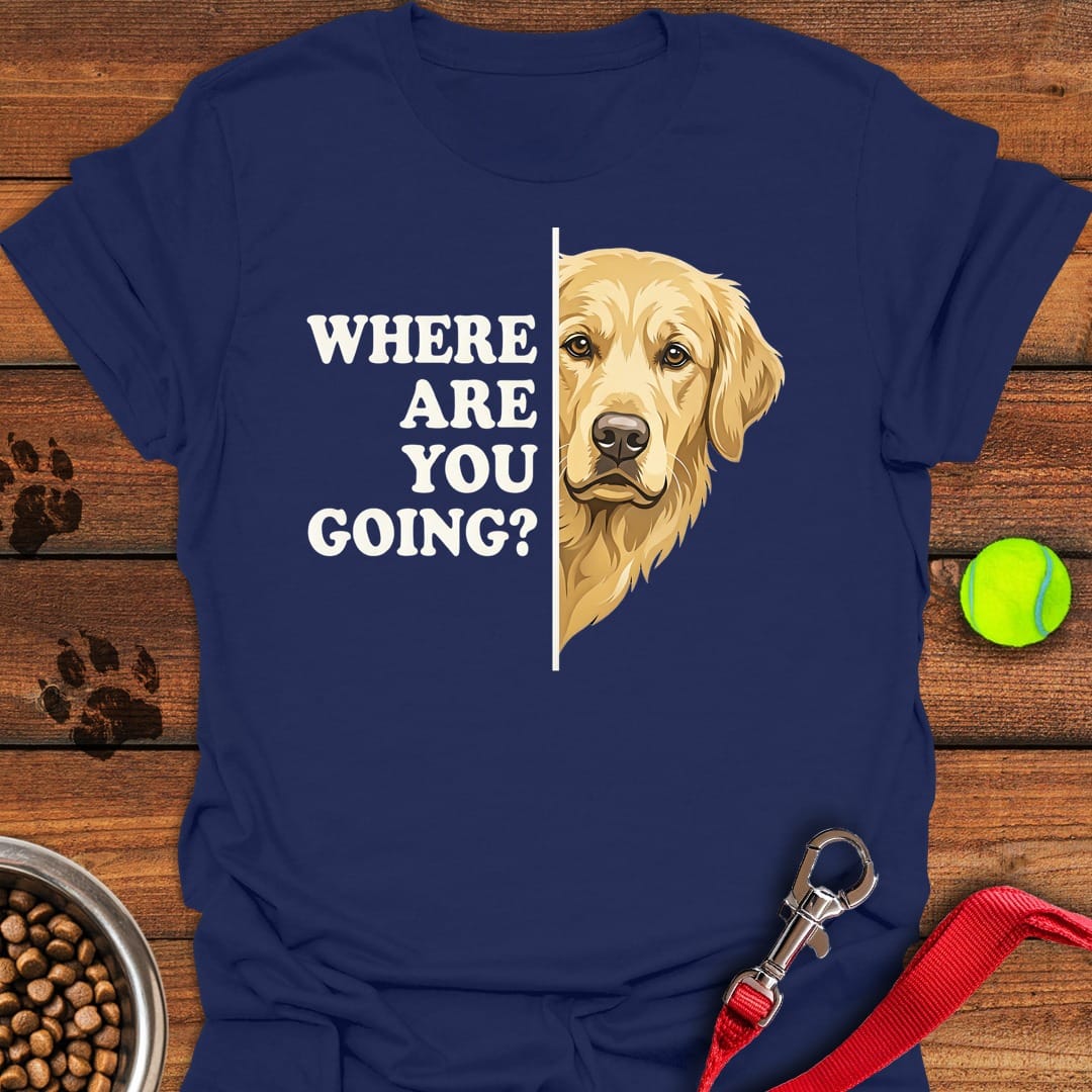 Golden Retriever Following Navy
