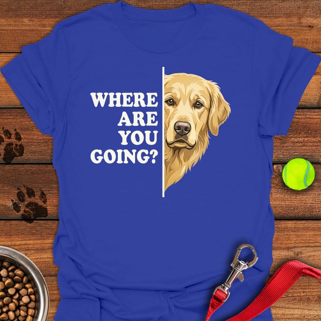 Golden Retriever Following Royal