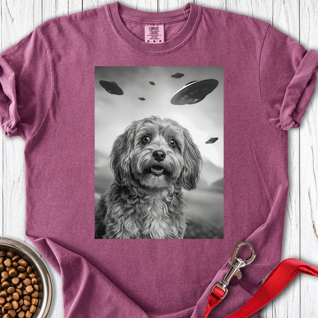 Havanese UFO Premium Tee Berry