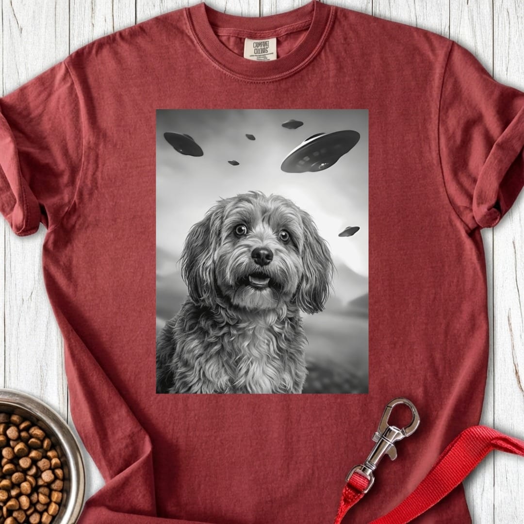 Havanese UFO Premium Tee Brick