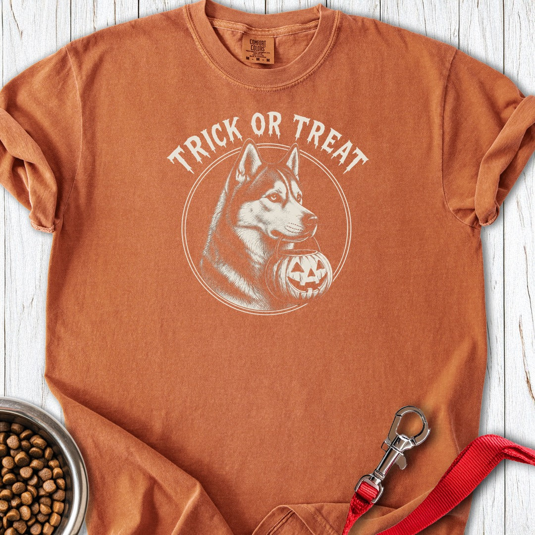 Husky Trick or Treat Halloween Premium Tee Yam