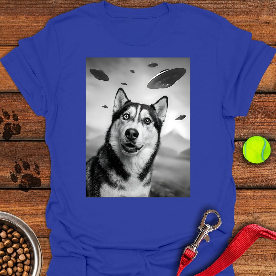 Husky UFO Royal