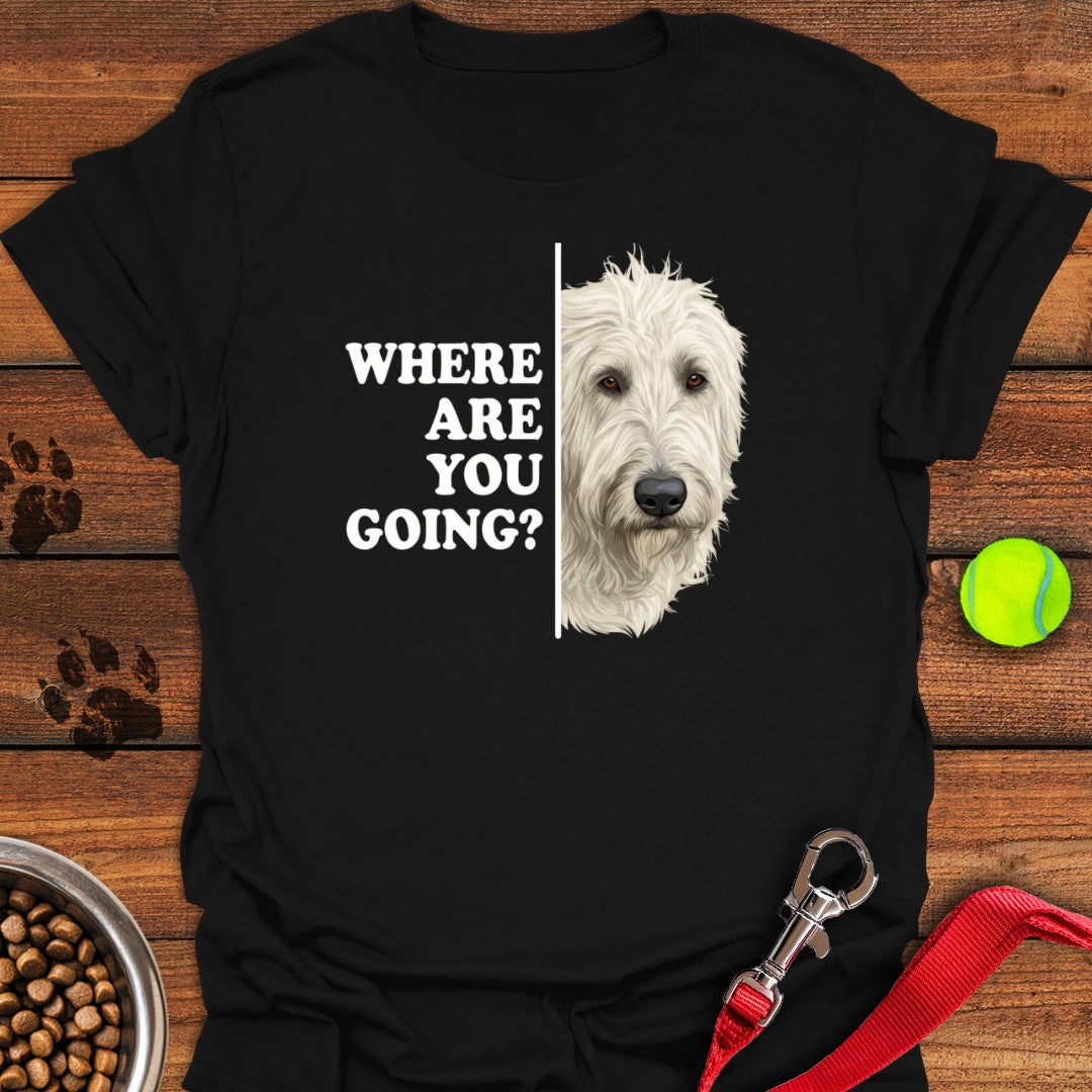 Irish Wolfhound Alert Black
