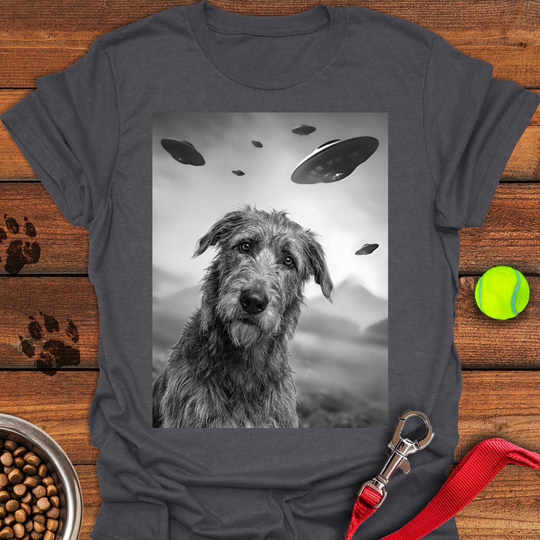 Irish Wolfhound UFO Dark Heather
