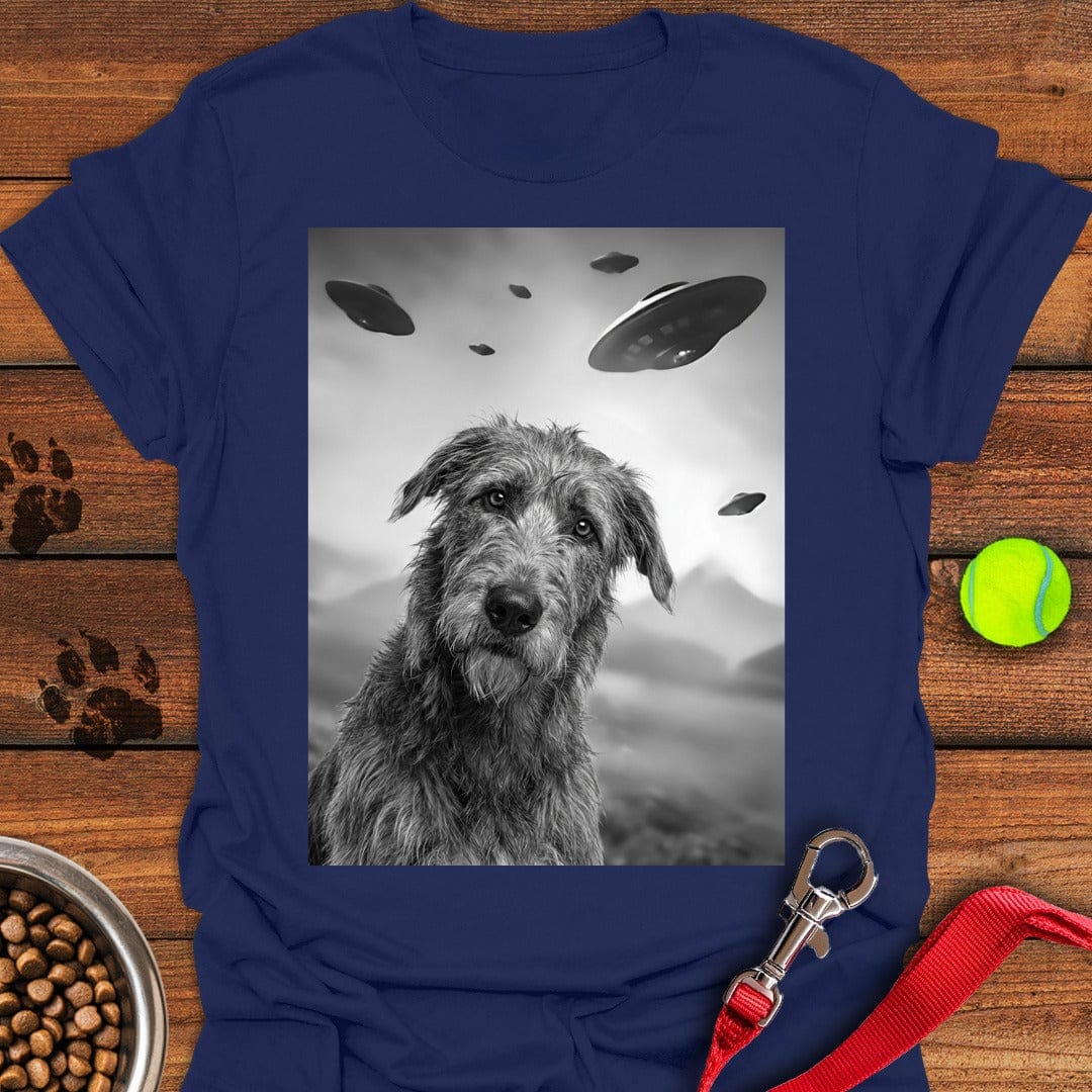 Irish Wolfhound UFO Navy