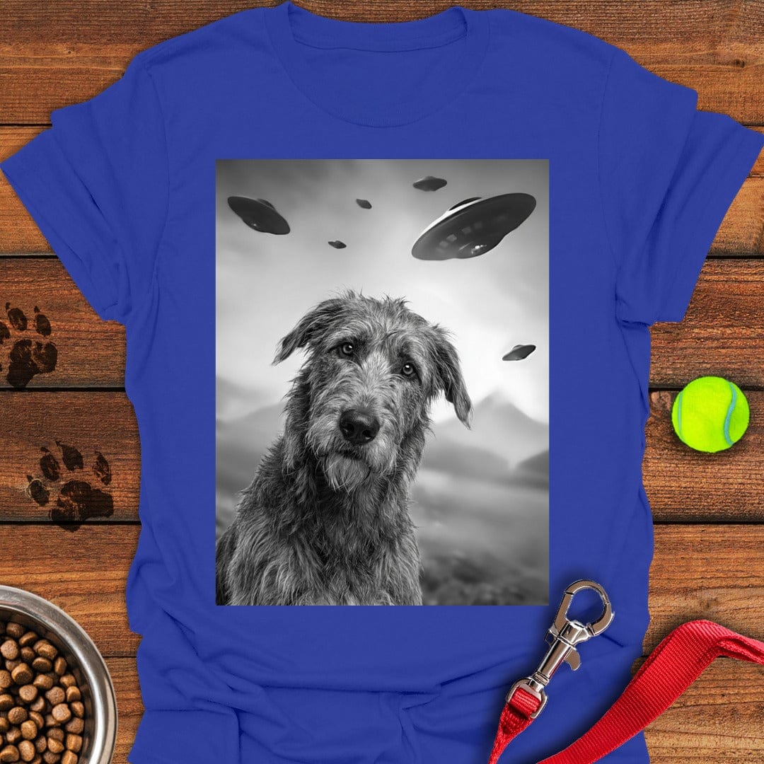 Irish Wolfhound UFO Royal