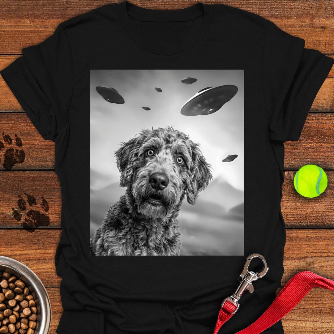 Labradoodle UFO Black
