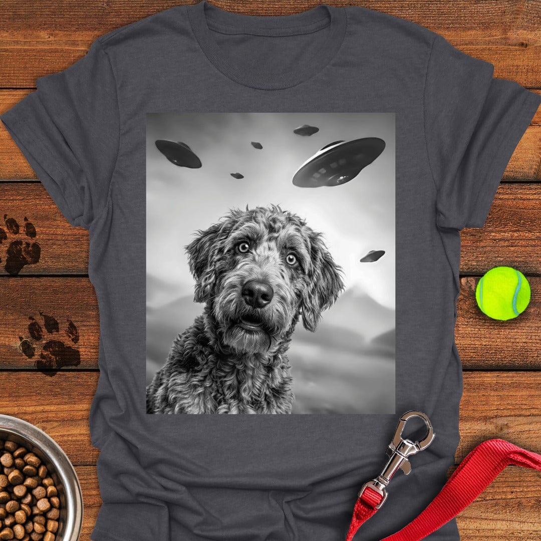 Labradoodle UFO Dark Heather