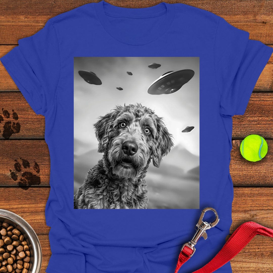 Labradoodle UFO Royal