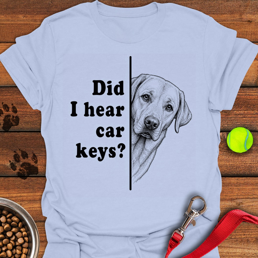 Labrador Car Keys Light Blue