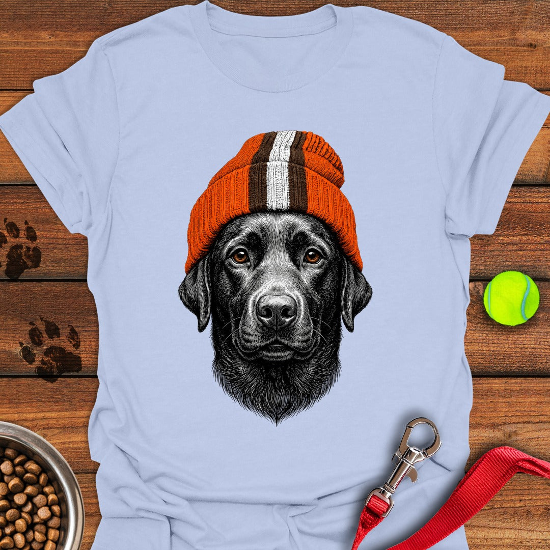 Labrador Orange Brown Beanie Light Blue