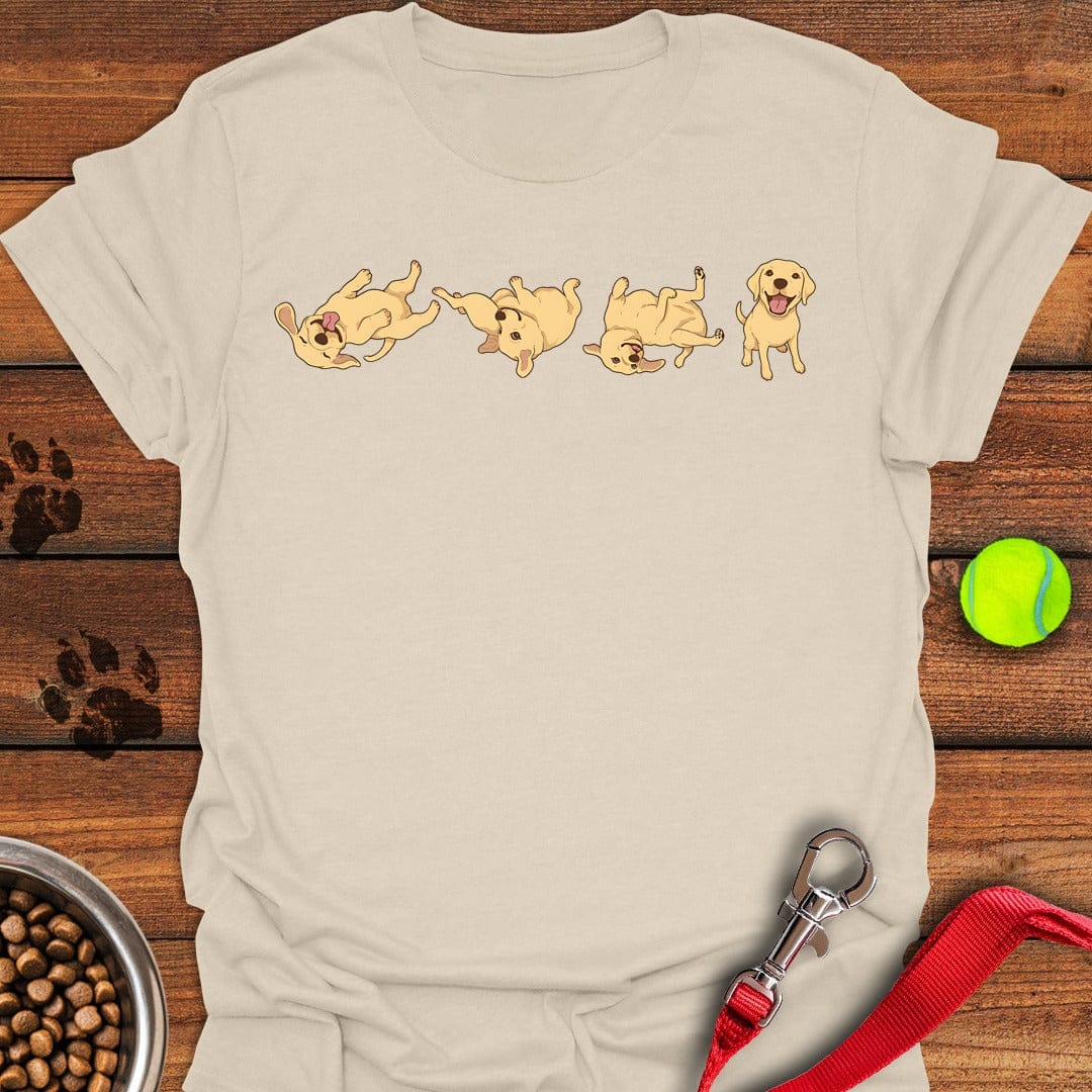Labrador Puppies Natural