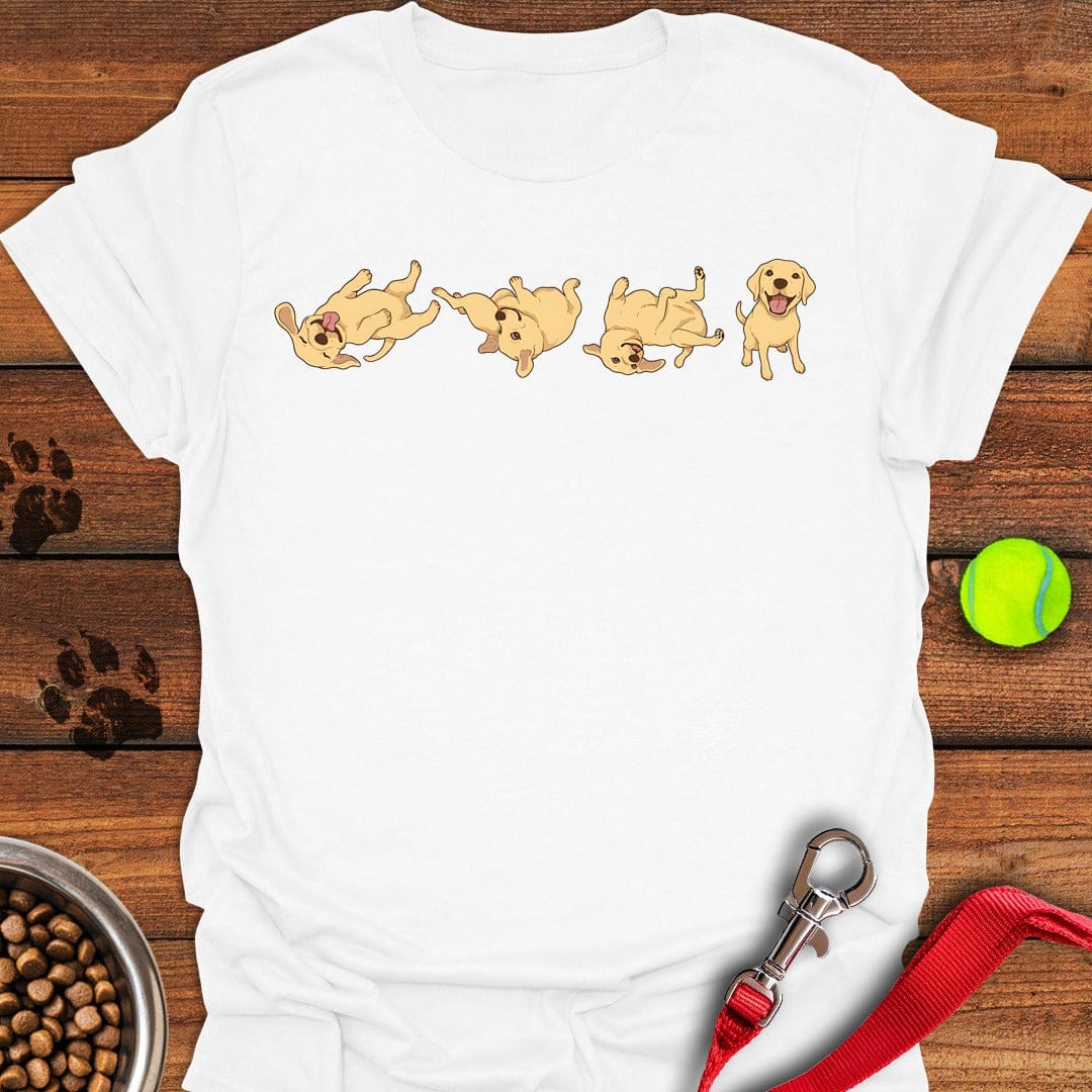 Labrador Puppies White