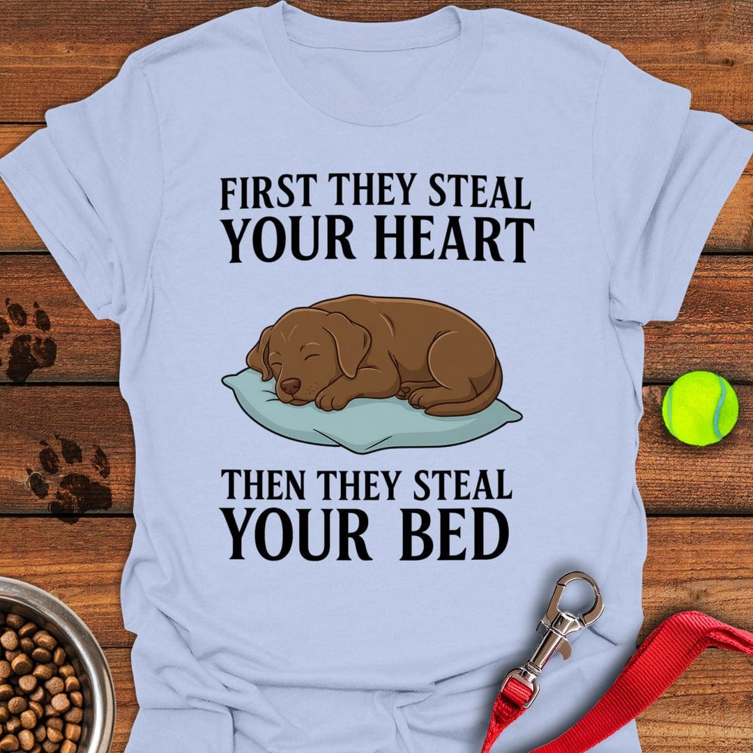 Labrador Stealing Bed Light Blue