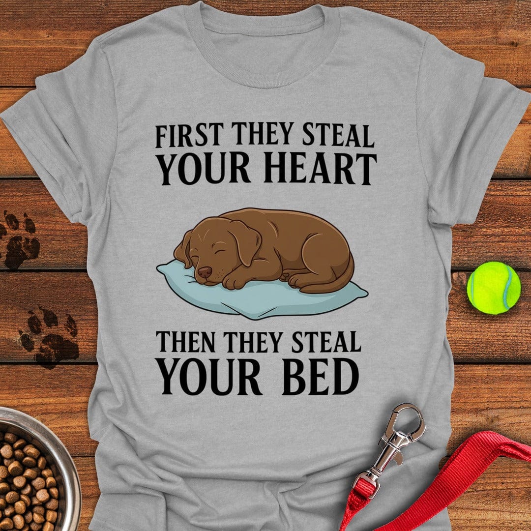 Labrador Stealing Bed Sport Grey