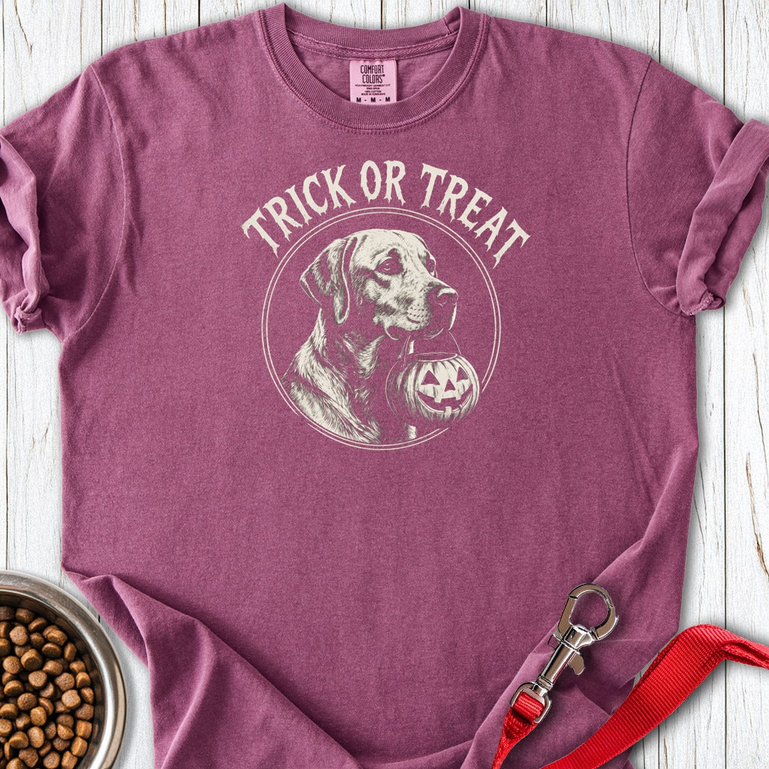 Labrador Trick or Treat Halloween Premium Tee Berry