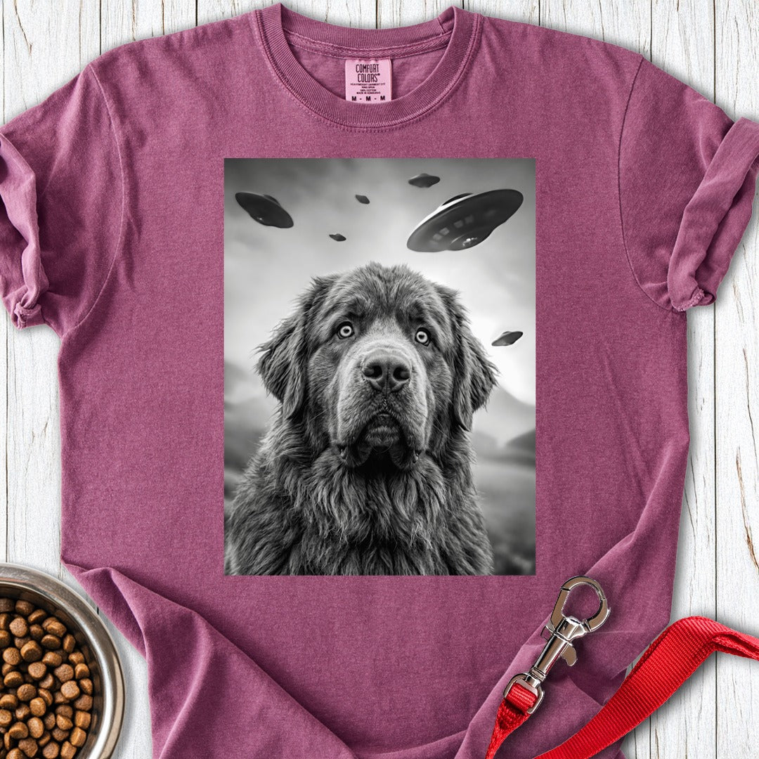 custom-mockup