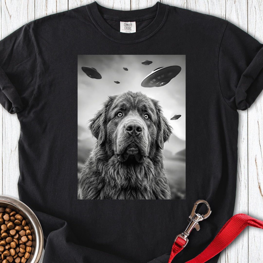 custom-mockup