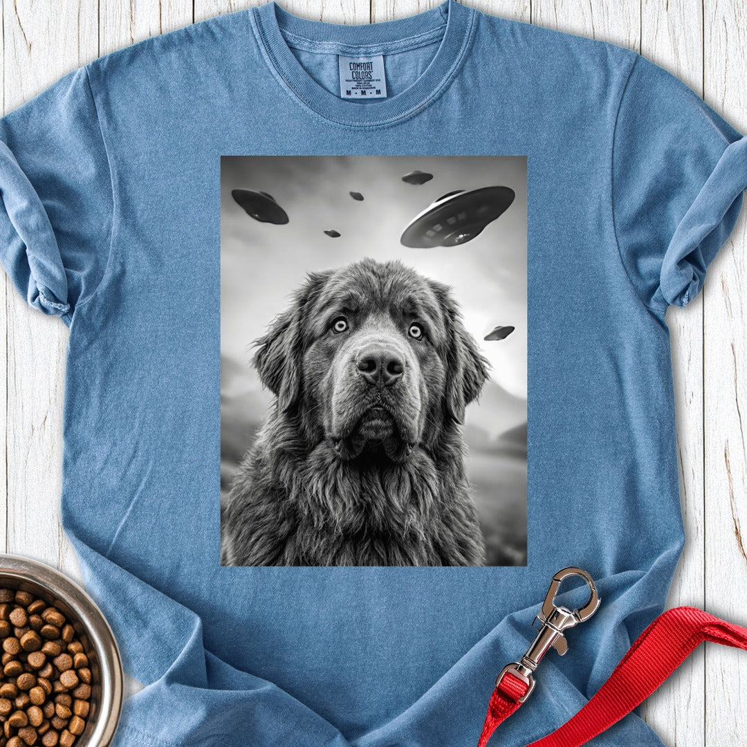 custom-mockup
