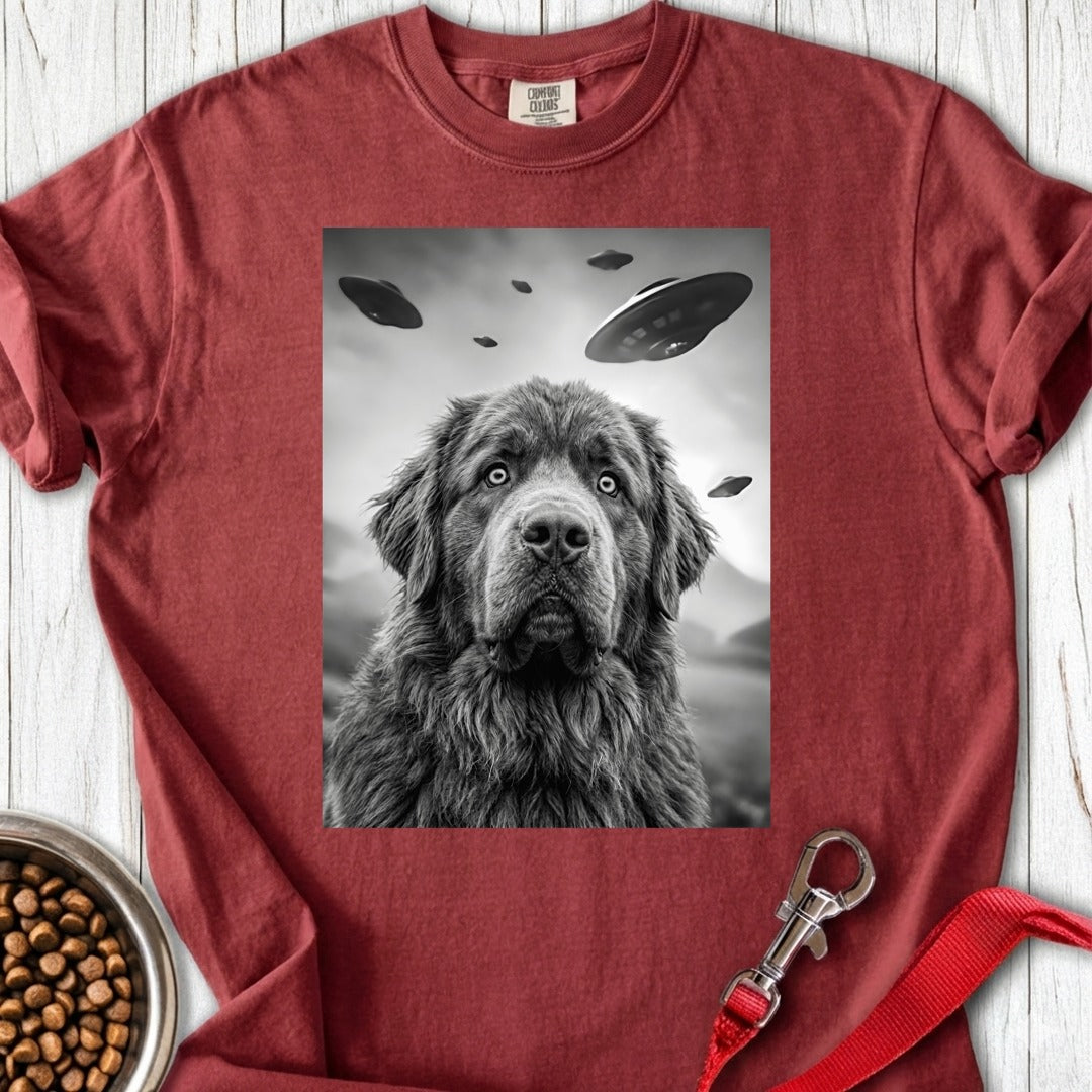 custom-mockup