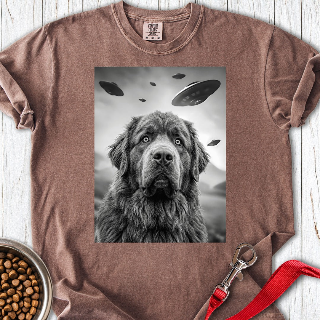 custom-mockup