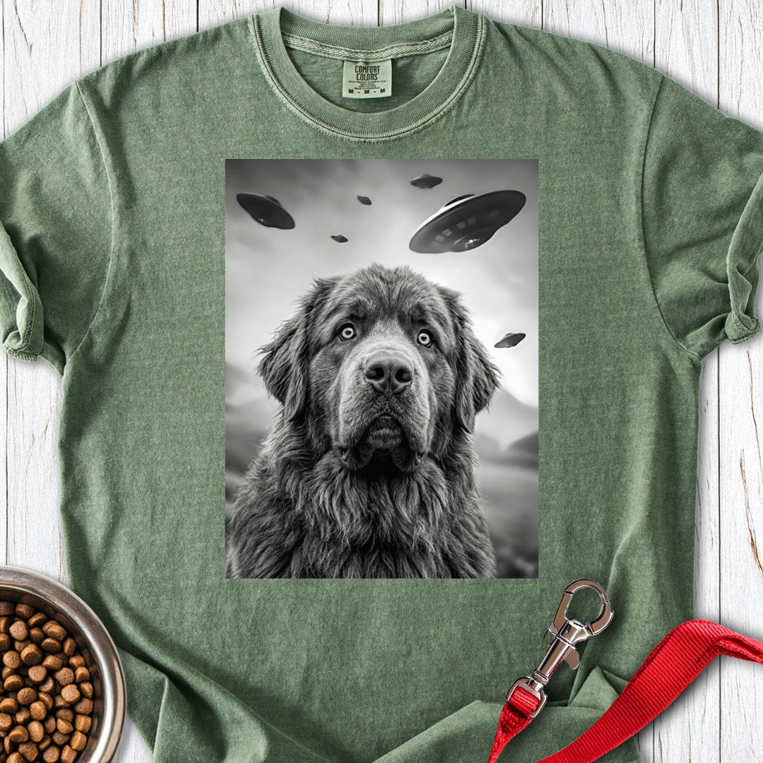 custom-mockup