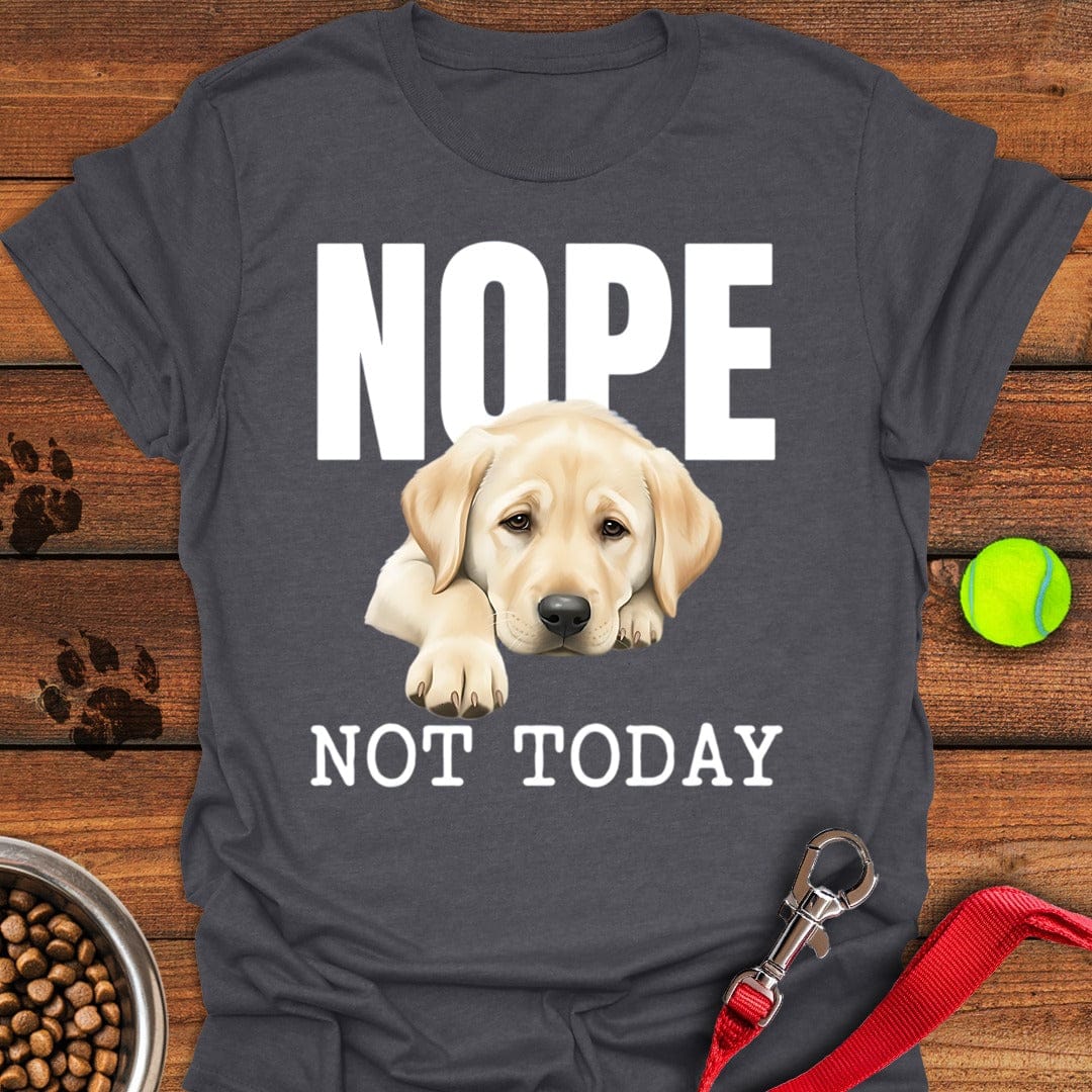 Nope Not Today Lab Dark Heather