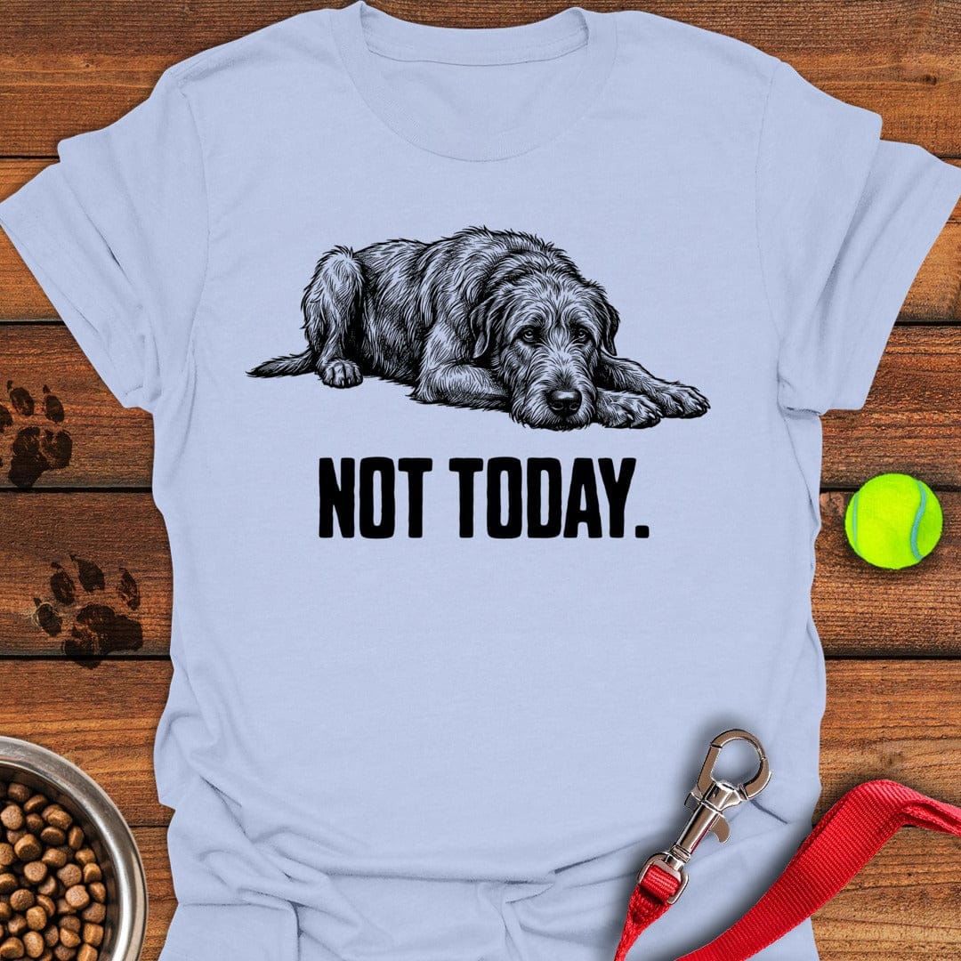 Not Today Irish Wolfhound Light Blue
