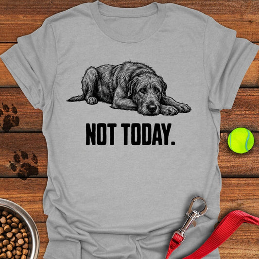 Not Today Irish Wolfhound Sport Grey