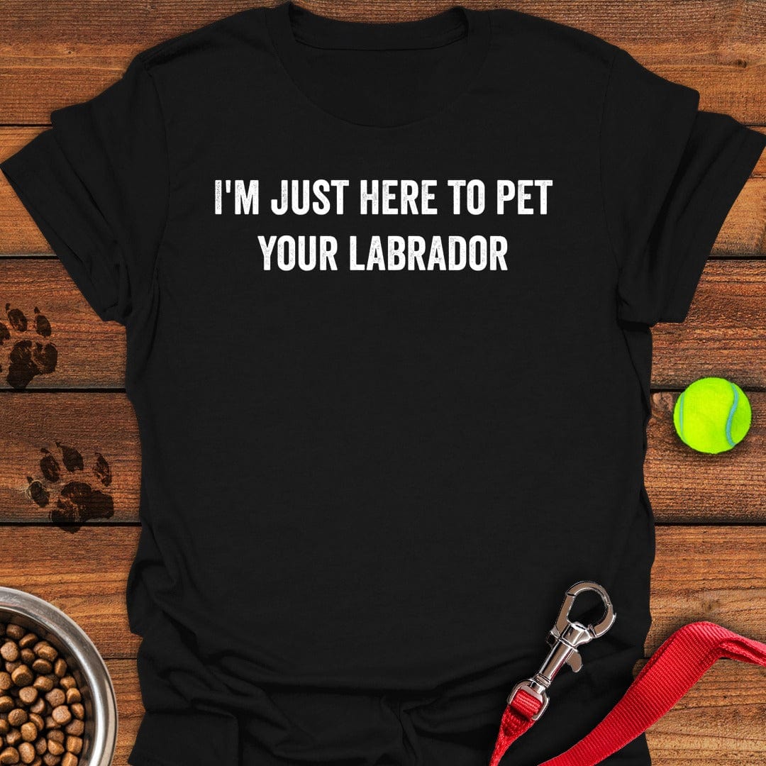 Pet Labrador Black