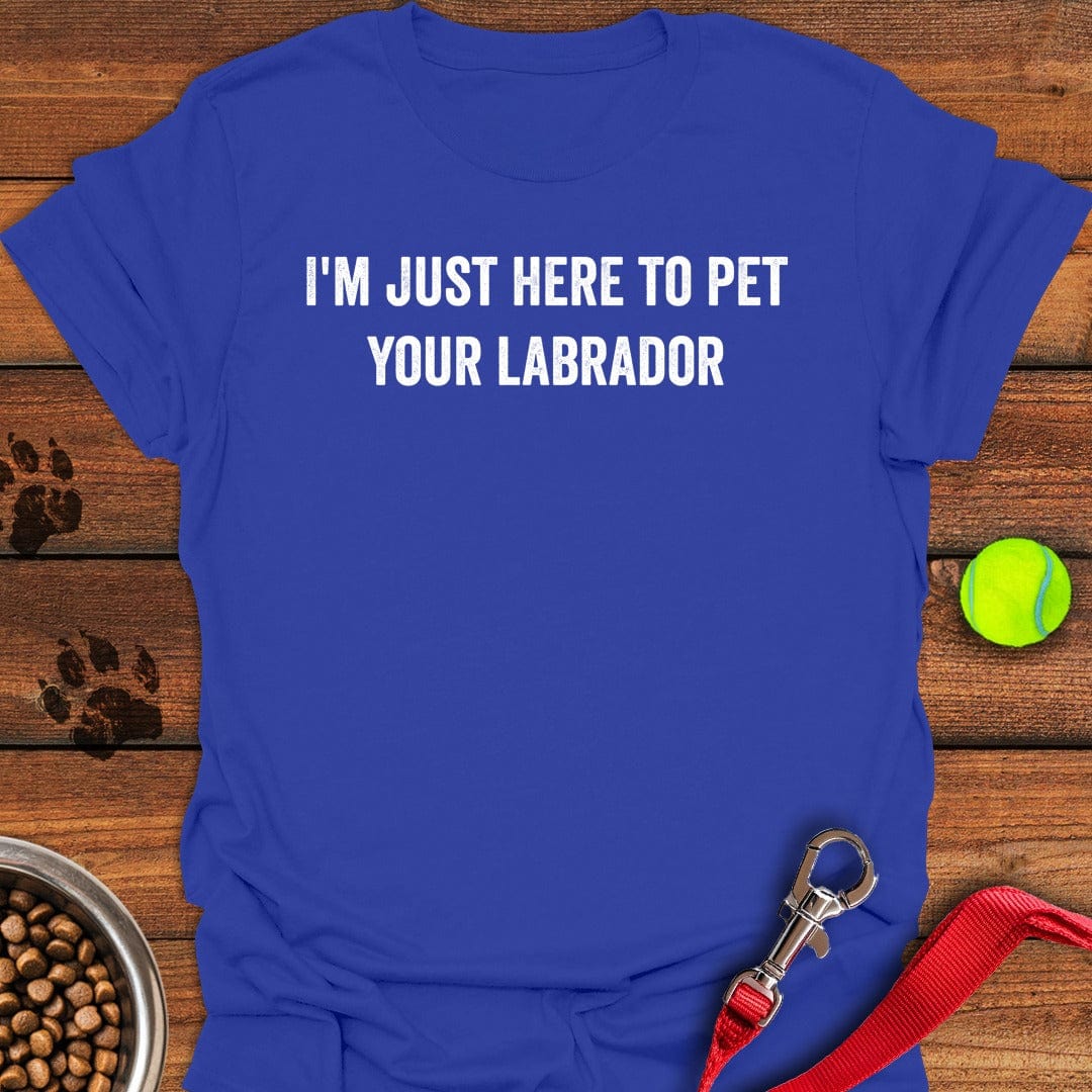 Pet Labrador Royal