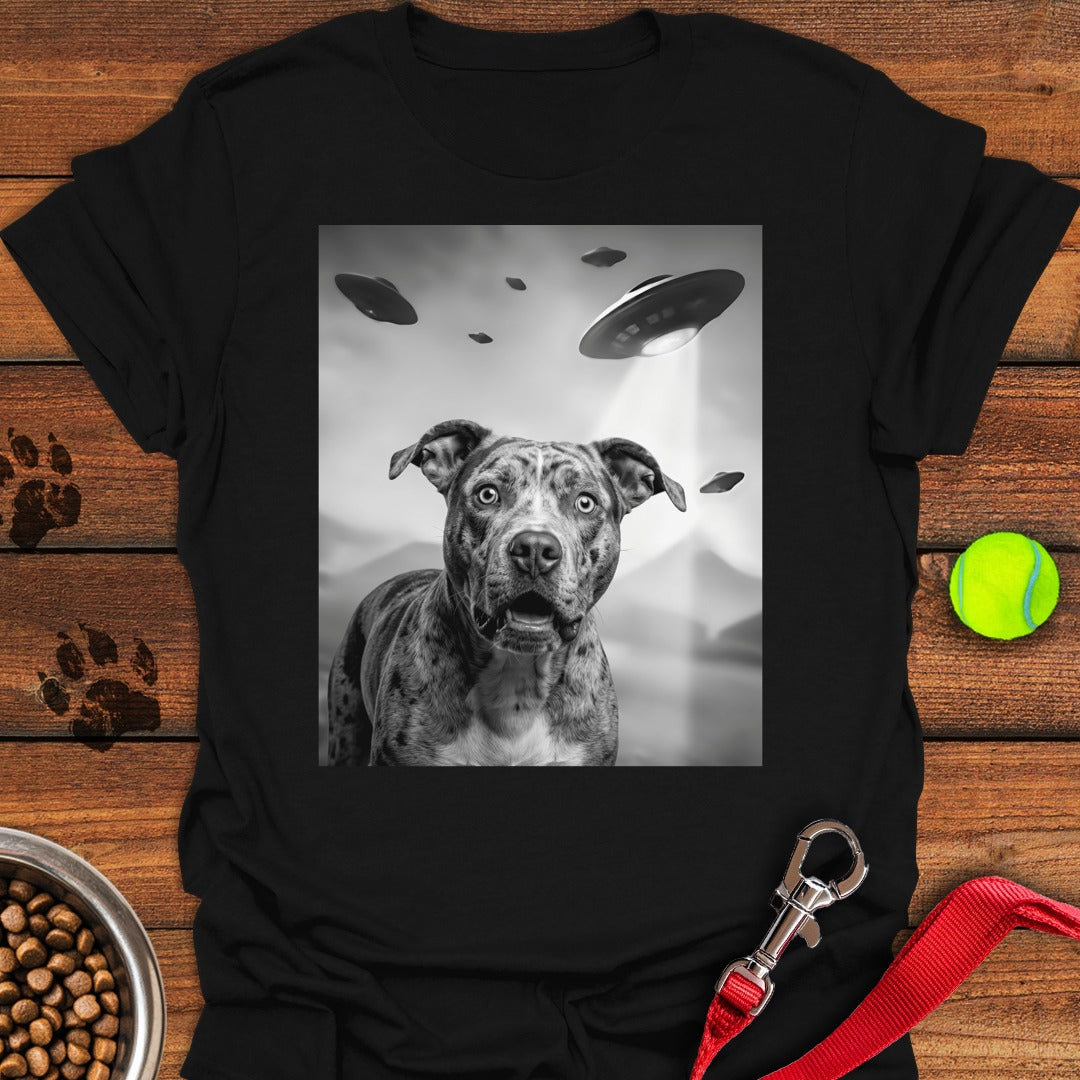 Pit Bull UFO Black