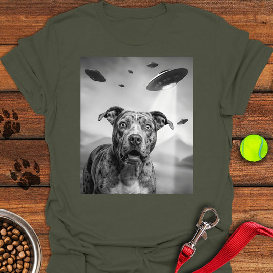 Pit Bull UFO Military Green