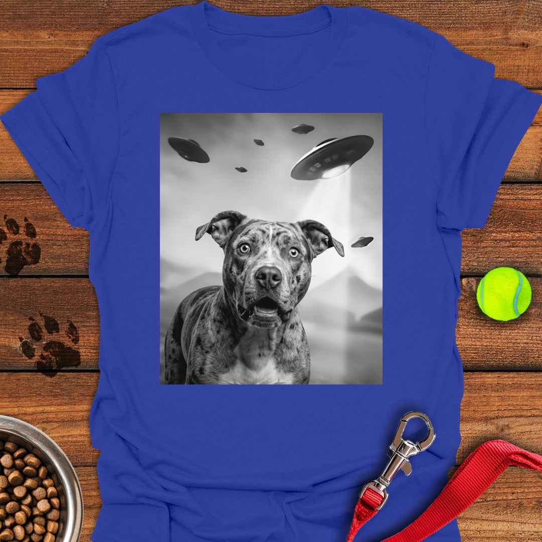 Pit Bull UFO Royal
