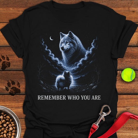 Pomeranian Origin Story Black