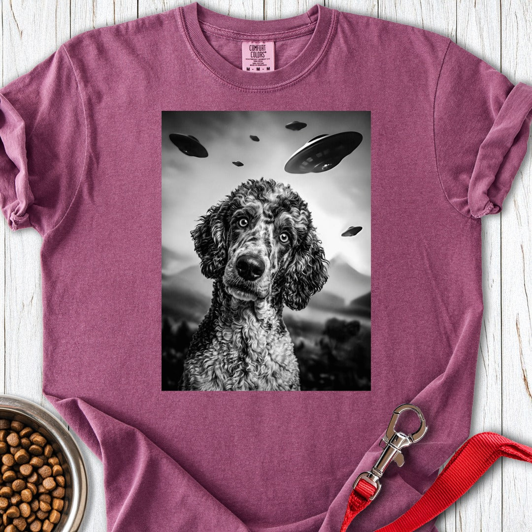 custom-mockup