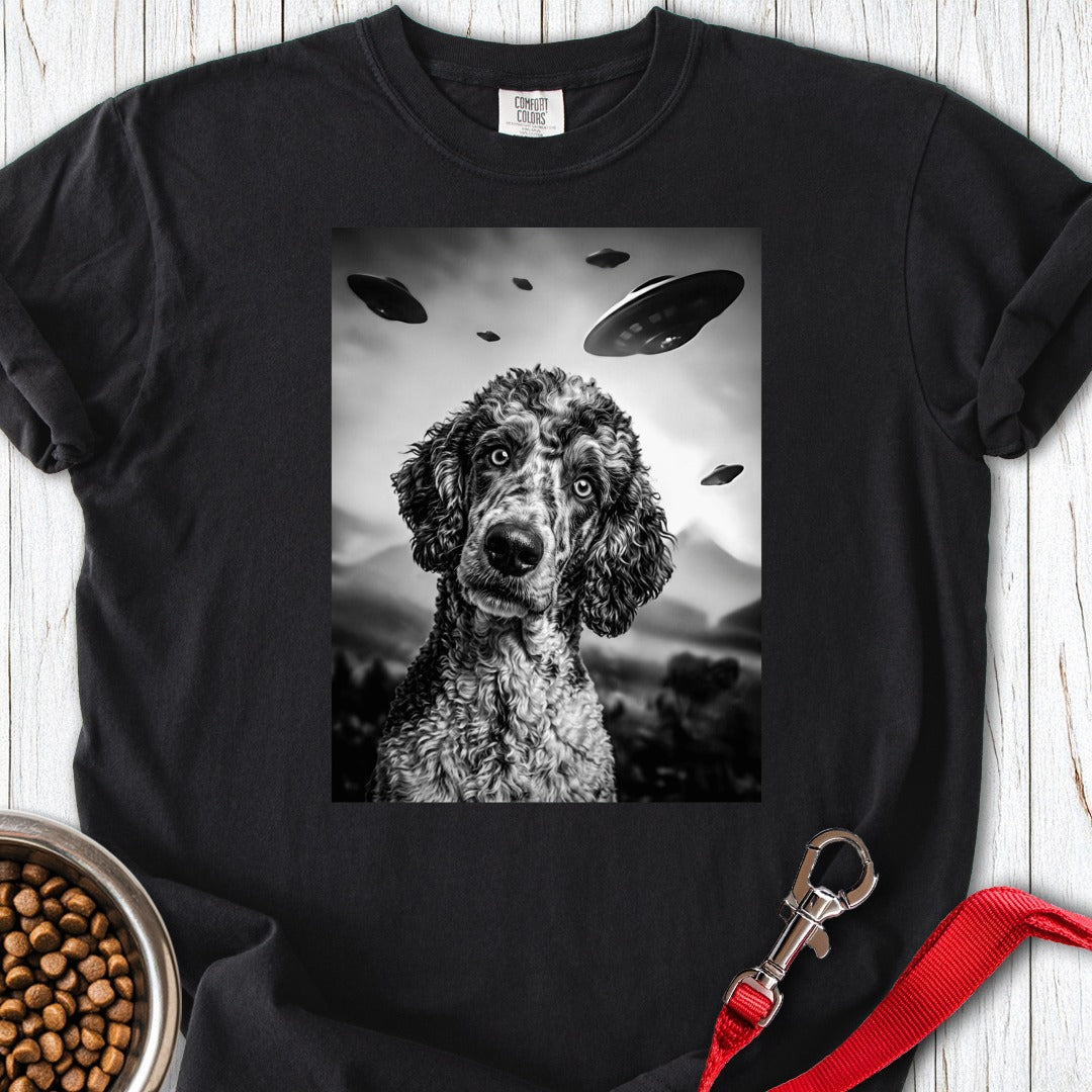 custom-mockup