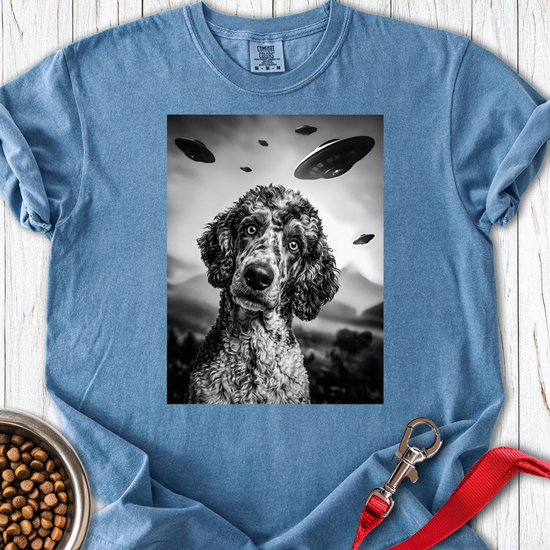 custom-mockup