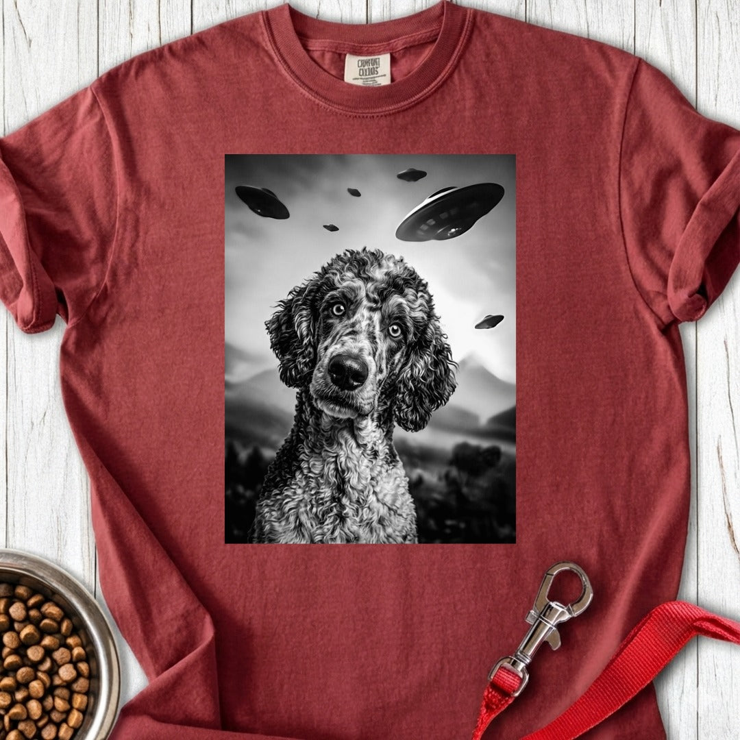 custom-mockup