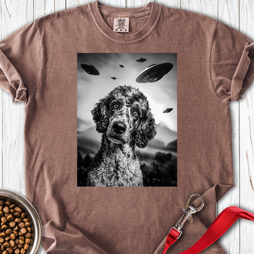 custom-mockup