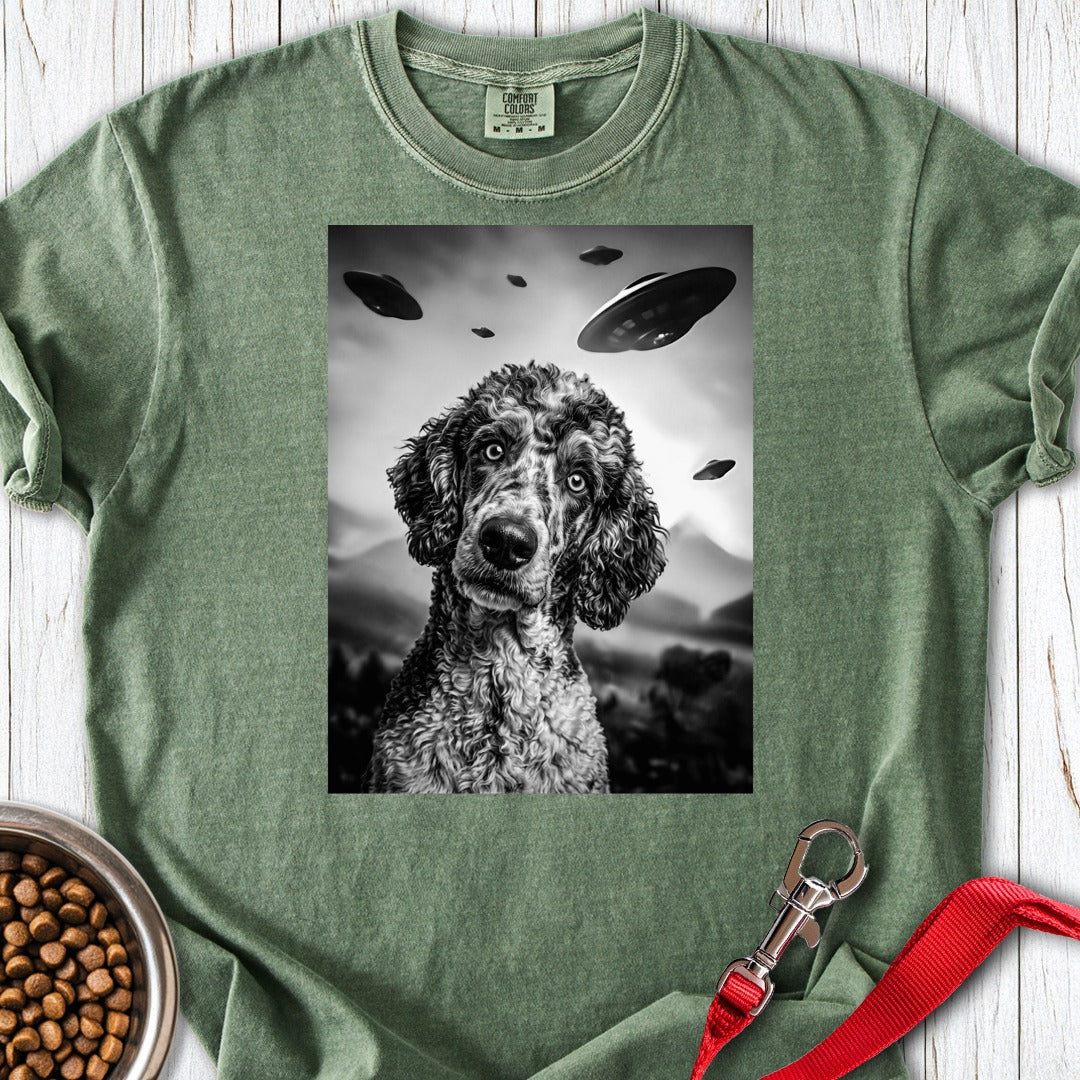 custom-mockup