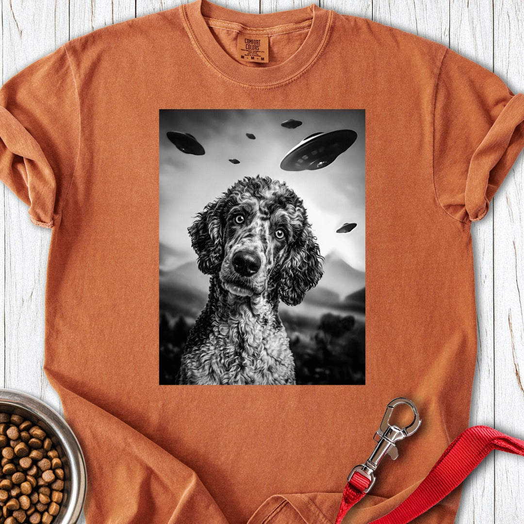 custom-mockup