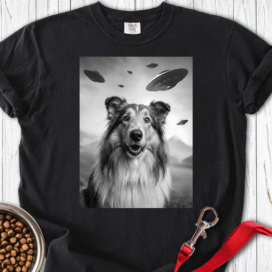 Rough Collie UFO Premium Tee Black