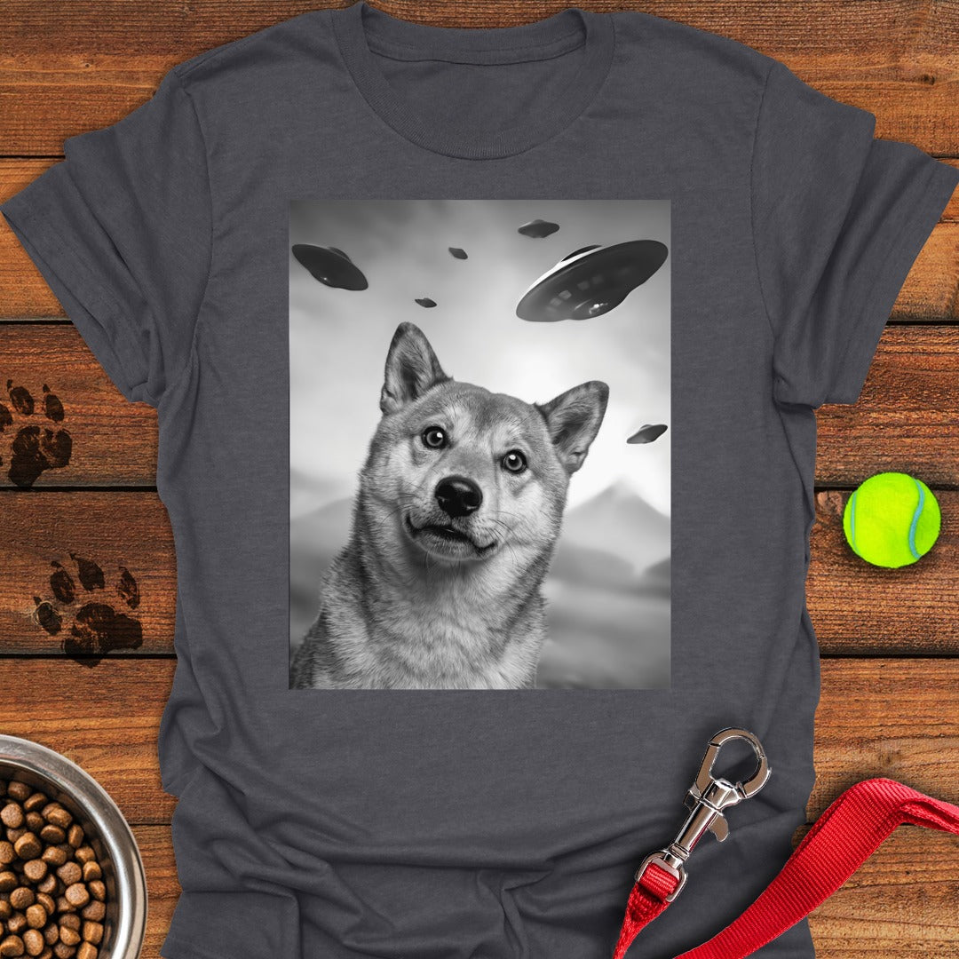 Shiba Inu UFO Dark Heather