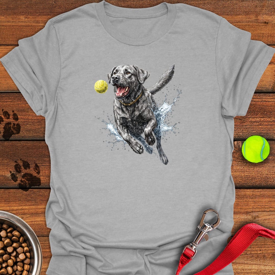 Silver Labrador Running Sport Grey