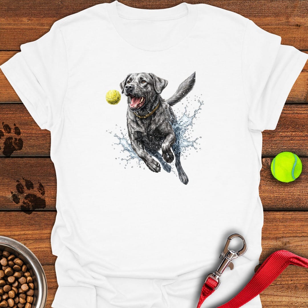 Silver Labrador Running White
